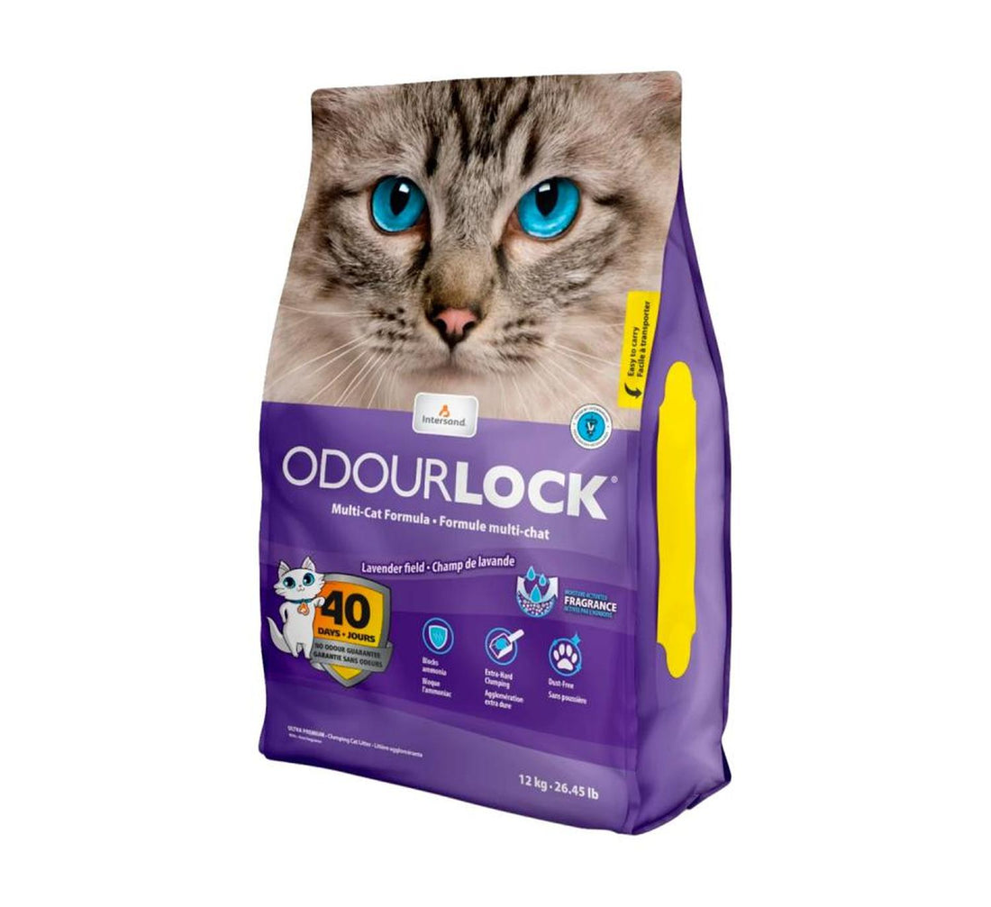 Intersand Arena gato aglutinante lavanda Odor Lock 11.35kg | G.Valkyria - imagen 1