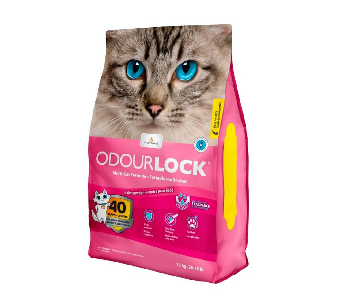 Intersand Arena gato aglutinante talco Odor Lock 11.35kg | G.Valkyria - imagen 1
