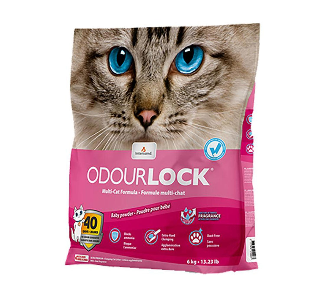 Intersand Arena gato aglutinante talco Odor Lock 6kg | G.Valkyria - imagen 1
