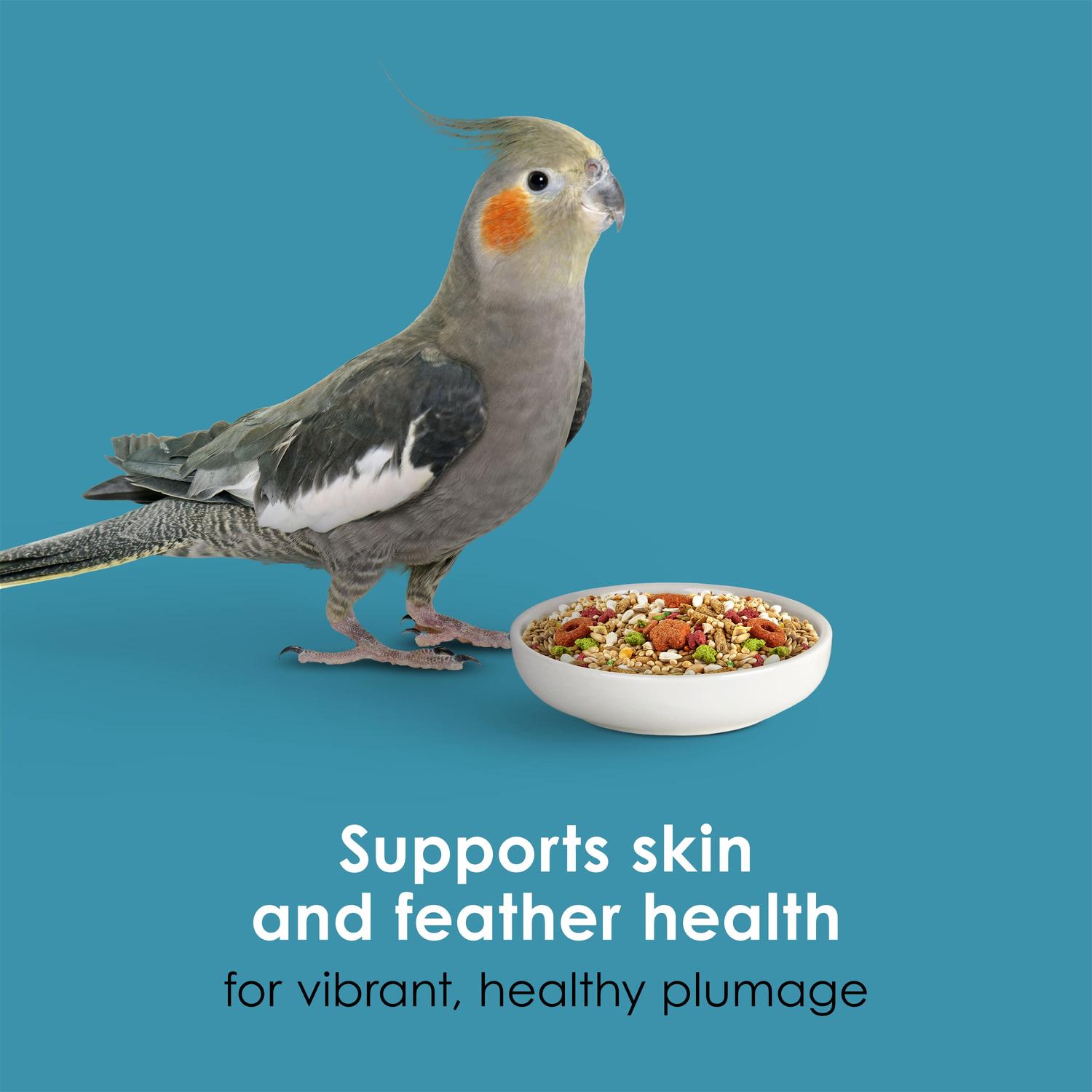 Alimento Kaytee Forti-Diet ProHealth Nourish+Protect Ninfa 1.8kg | G.Valkyria - imagen 11
