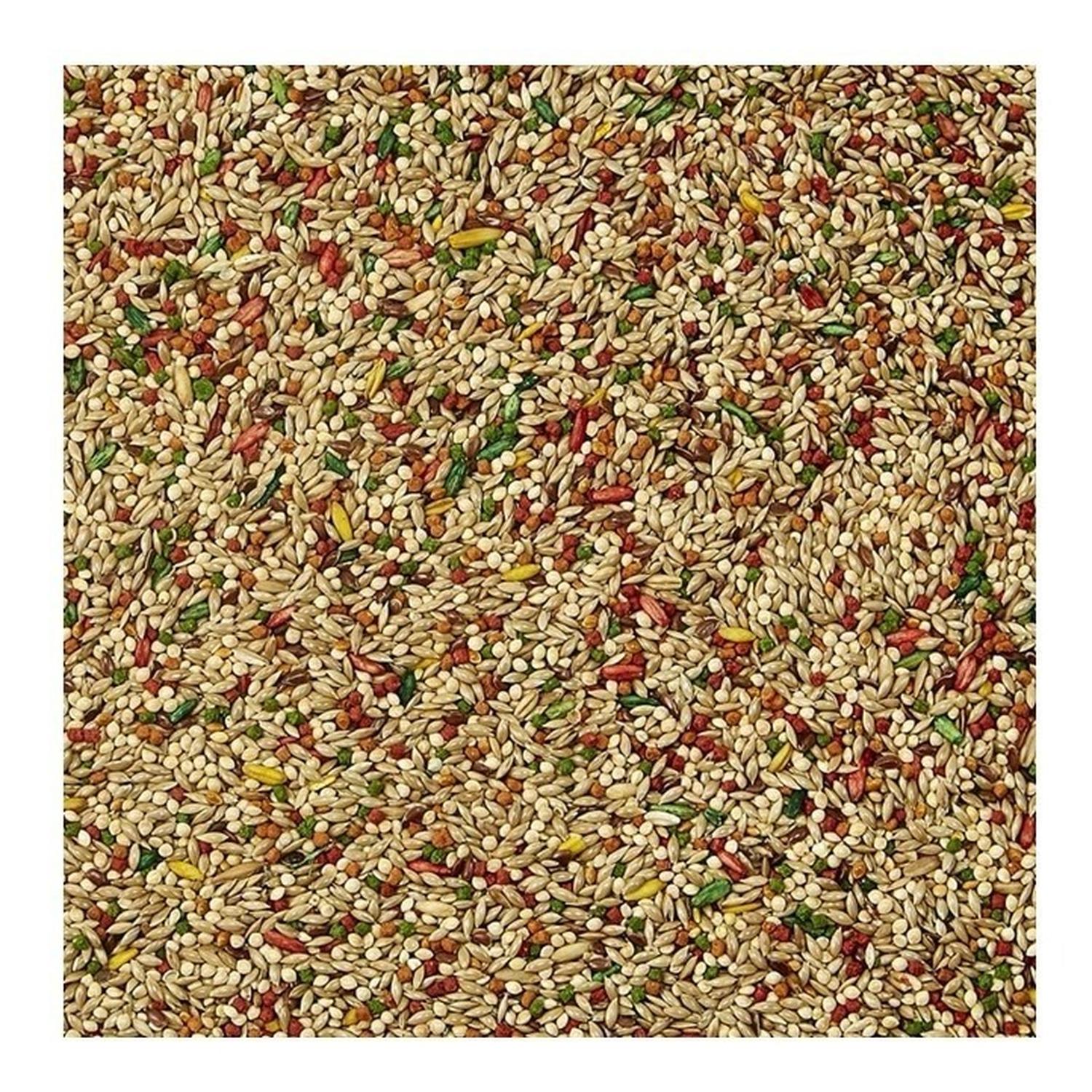 Alimento Premium Kaytee FortiDiet Periquito Australiano 907gr | G.Valkyria - imagen 2