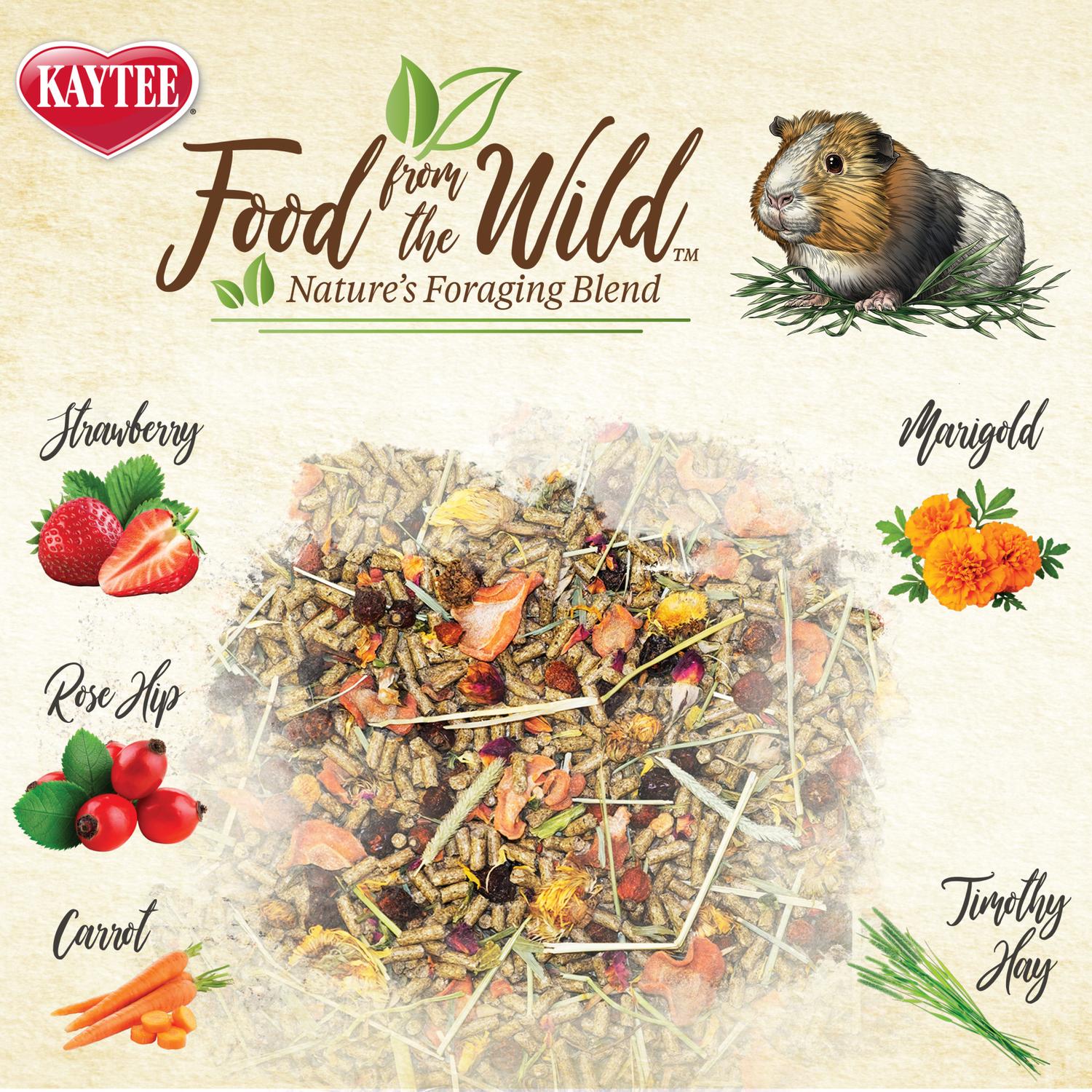Alimento Premium Kaytee Natural Food from the Wild Cuyo 1.8kg | G.Valkyria - imagen 5