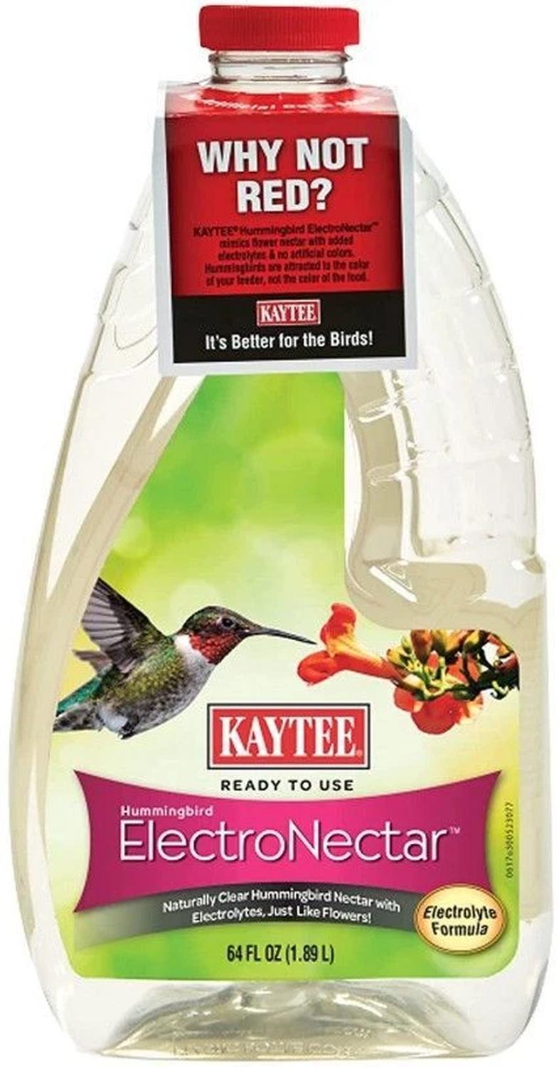 Kaytee Electronectar para Colibries listo para usar 1.89 lt | G.Valkyria