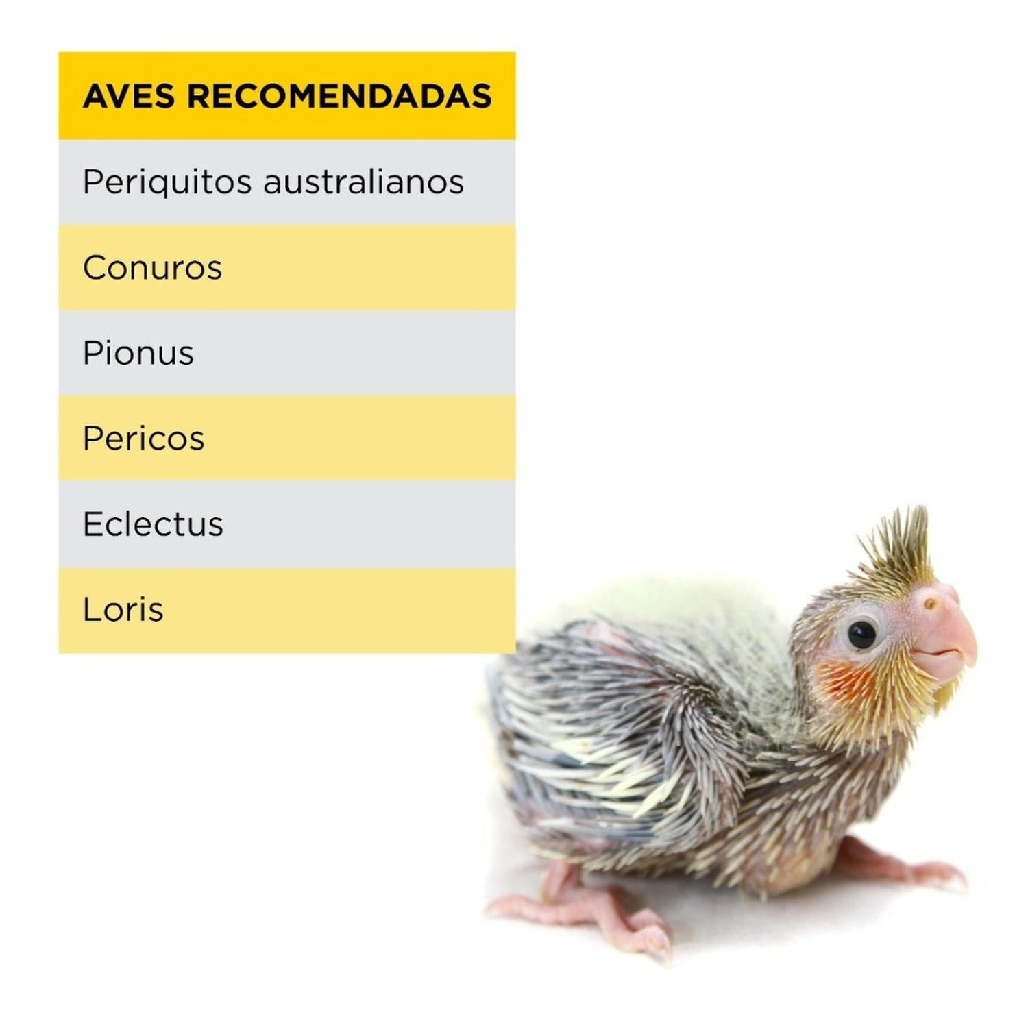 Papilla Premium+ Para Aves / Polluelos Kaytee Exact 2.2 Kg | G.Valkyria - imagen 4