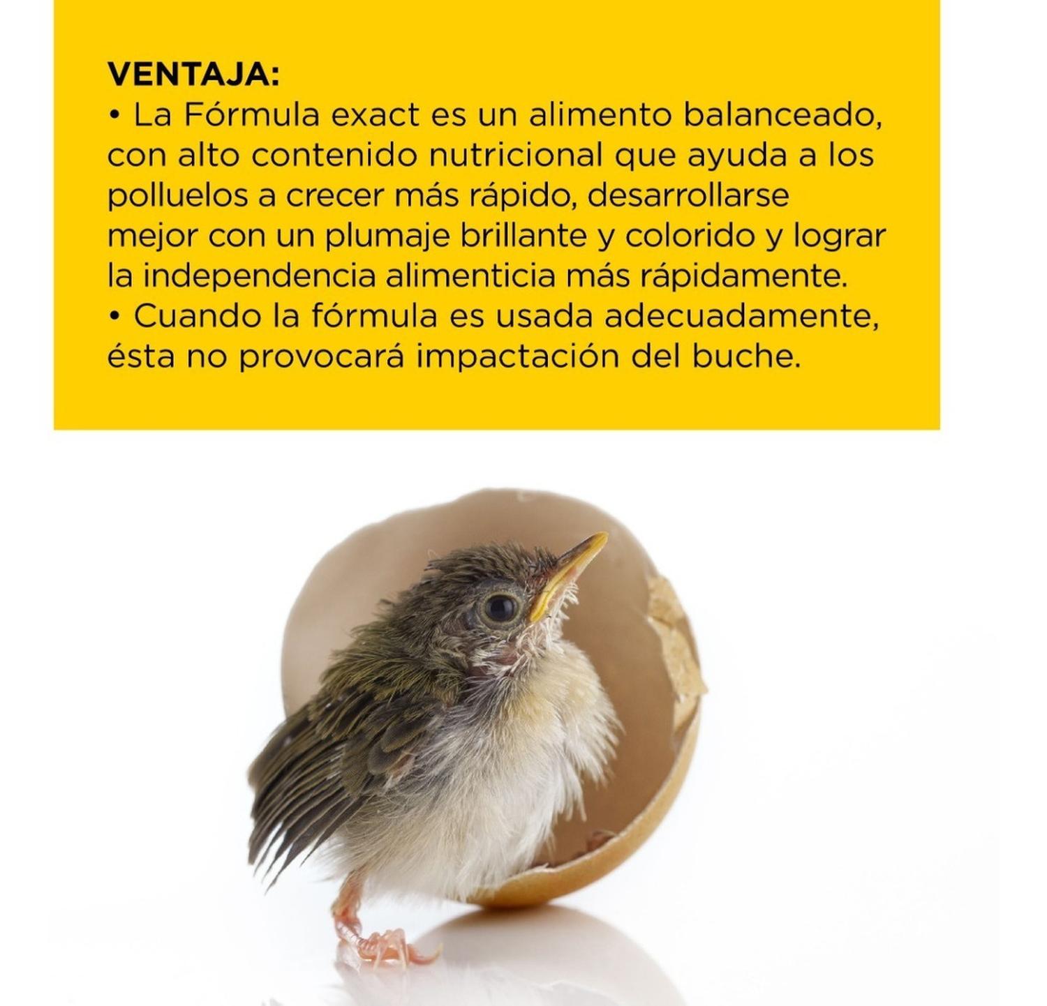Papilla Premium+ Para Aves / Polluelos Kaytee Exact 2.2 Kg | G.Valkyria - imagen 6
