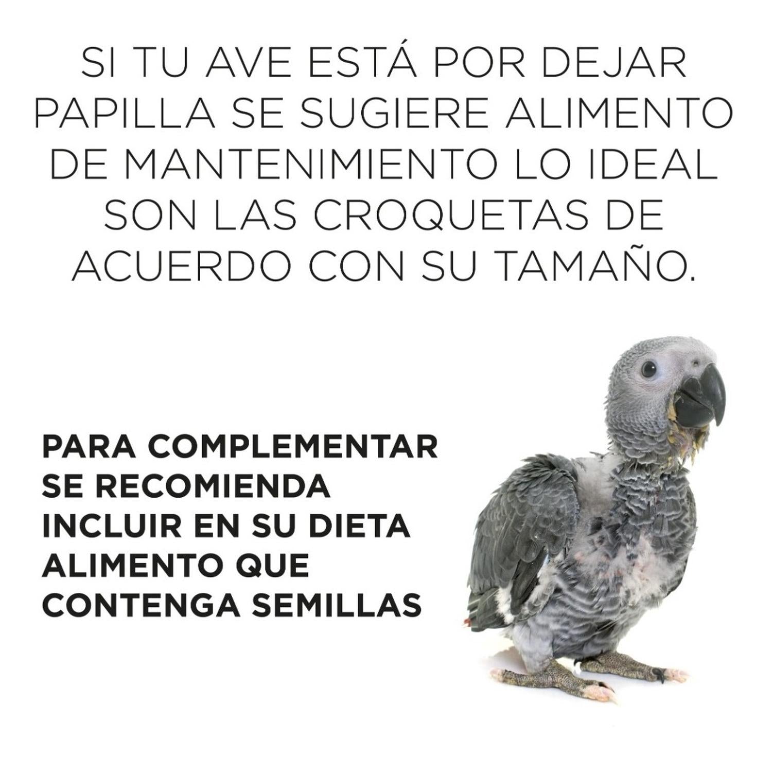 Papilla Premium+ Para Aves / Polluelos Kaytee Exact 2.2 Kg | G.Valkyria - imagen 8