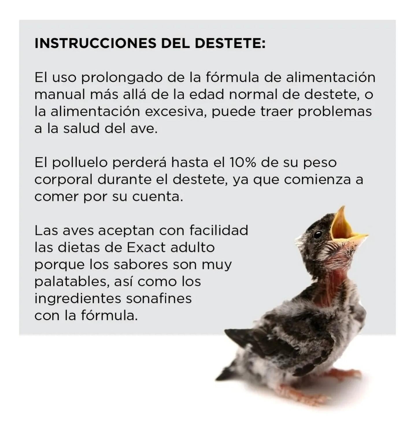 Papilla Premium+ Para Aves / Polluelos Kaytee Exact 2.2 Kg | G.Valkyria - imagen 9