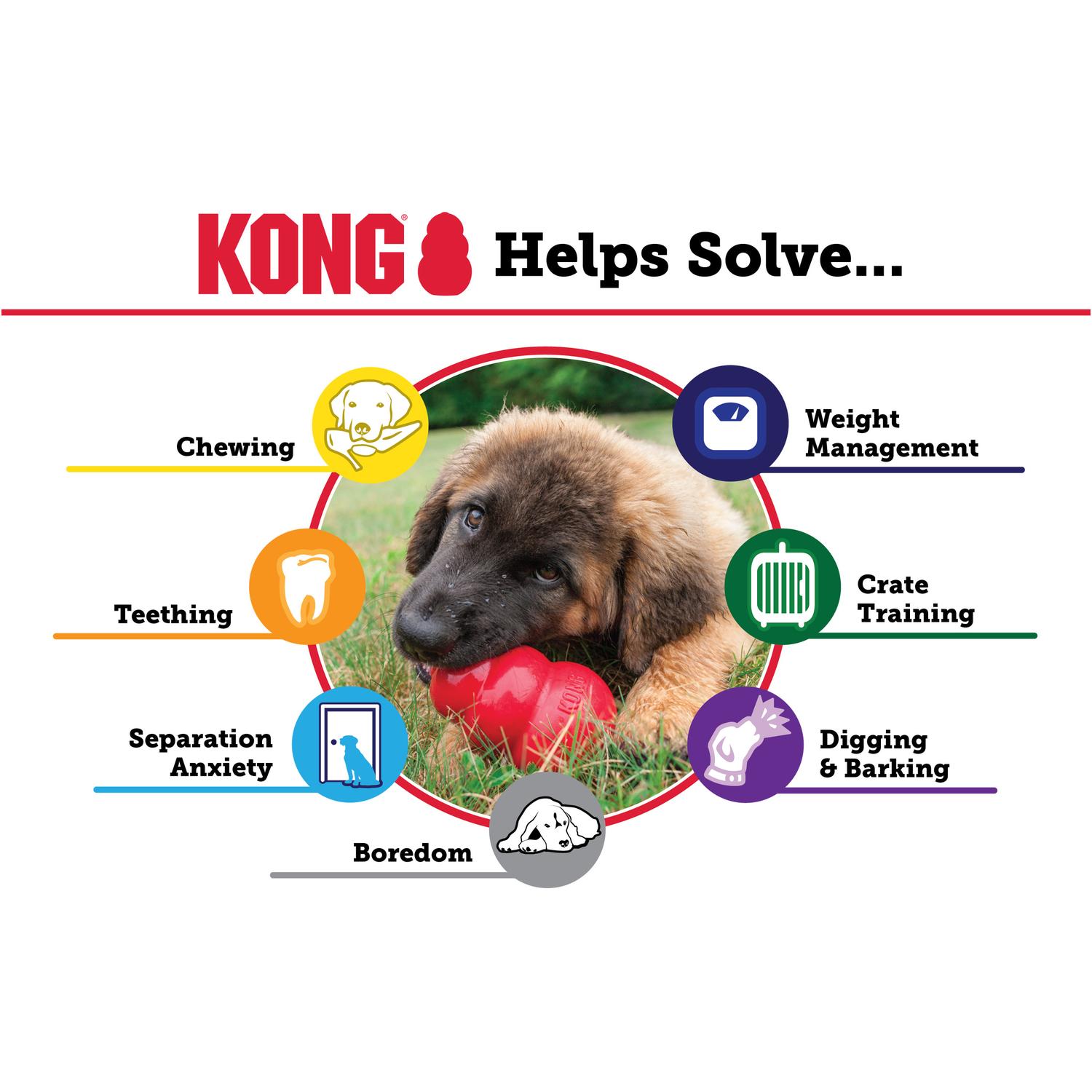 Juguete Kong Puppy Para Cachorros Extra Chico | G.Valkyria - imagen 8