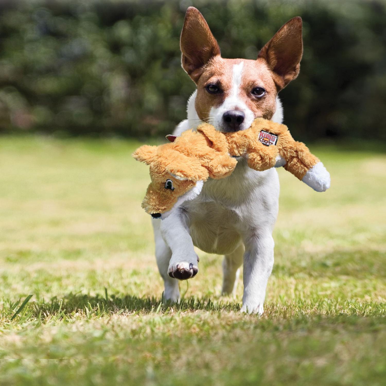Kong Juguete para perro Ardilla Con Cuerda Interior Chico | G.Valkyria - imagen 2