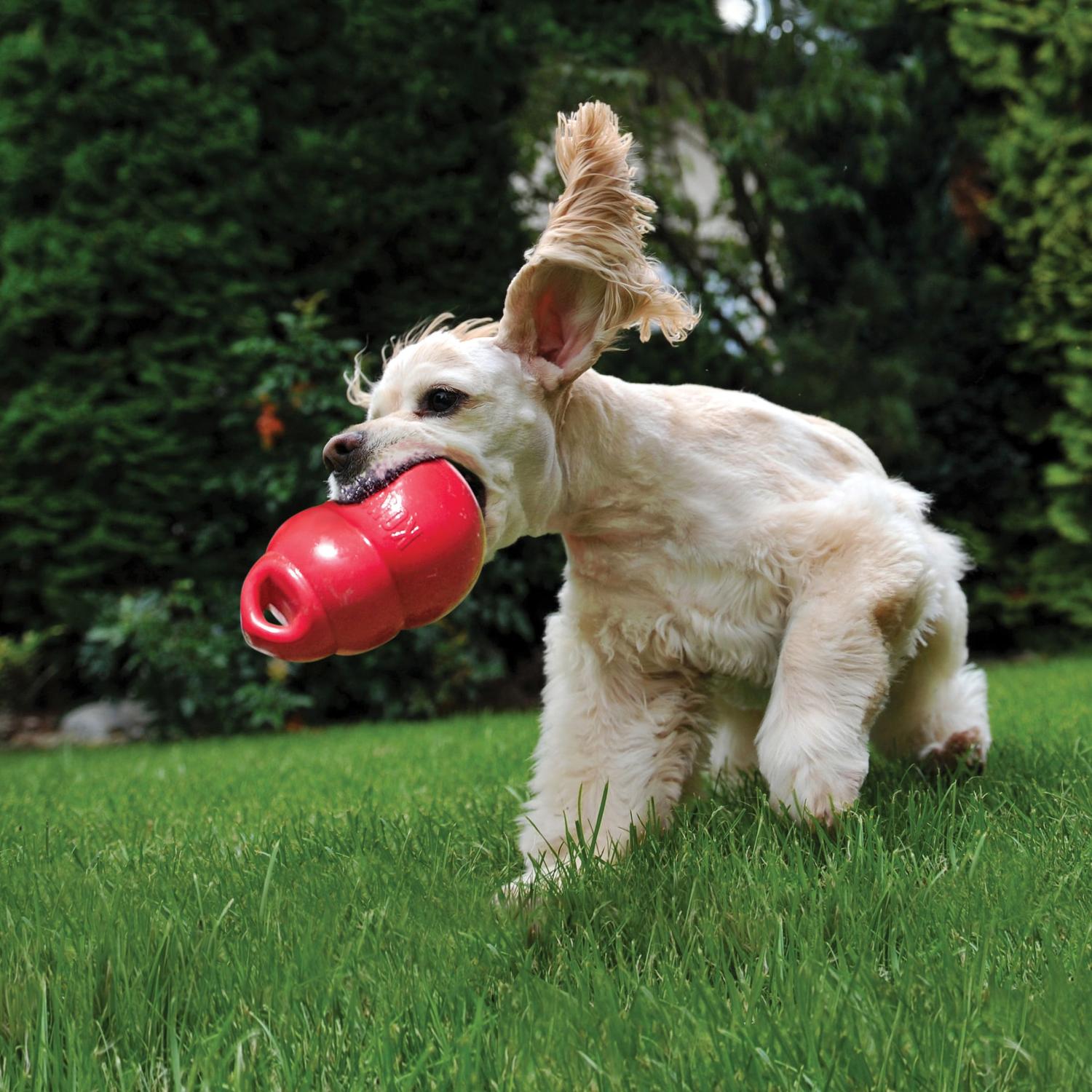 Kong Juguete para perro Gorila Bounzer Grande | G.Valkyria - imagen 2