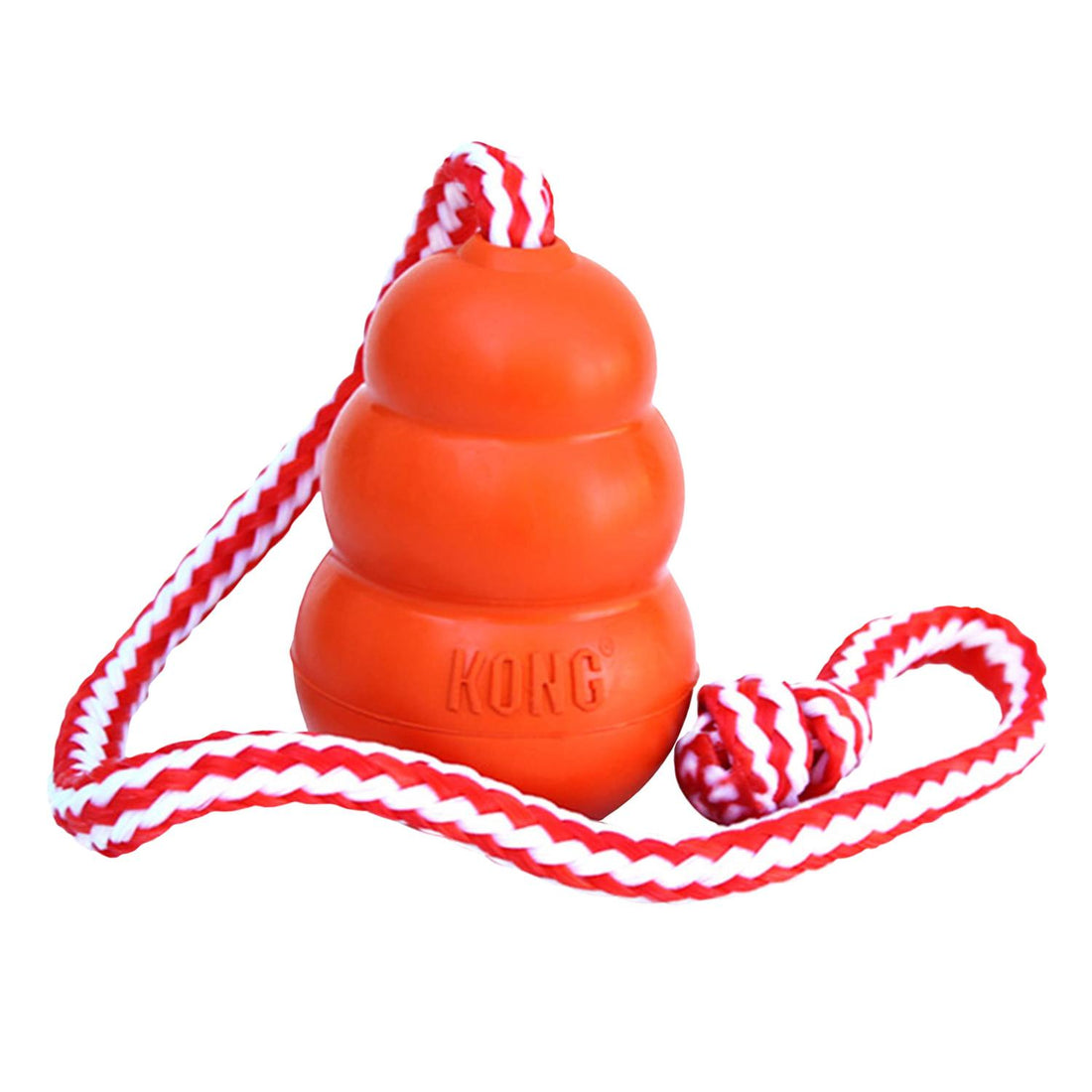 Kong Juguete para perro Kong Agua Mediano | G.Valkyria - imagen 1