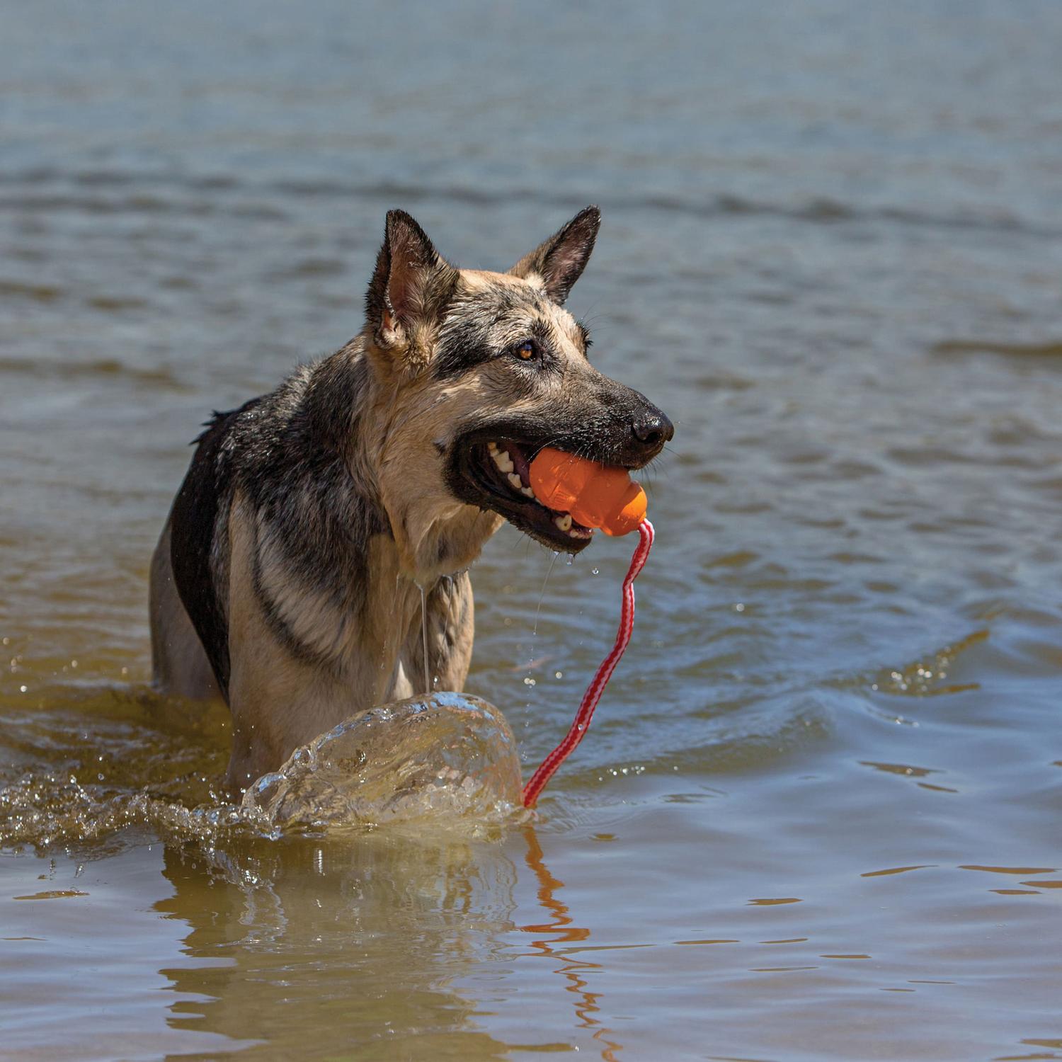 Kong Juguete para perro Kong Agua Mediano | G.Valkyria - imagen 3
