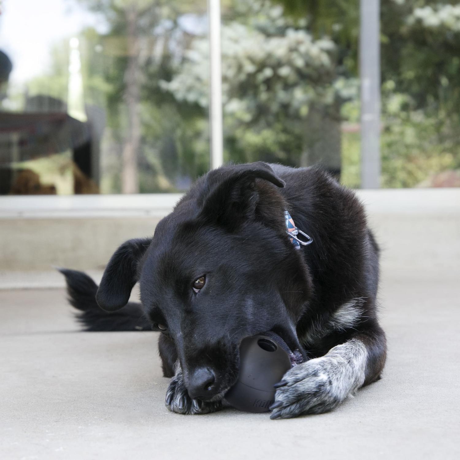 Kong Juguete para perro Pelota Extreme con Agujero MedGrande | G.Valkyria - imagen 4
