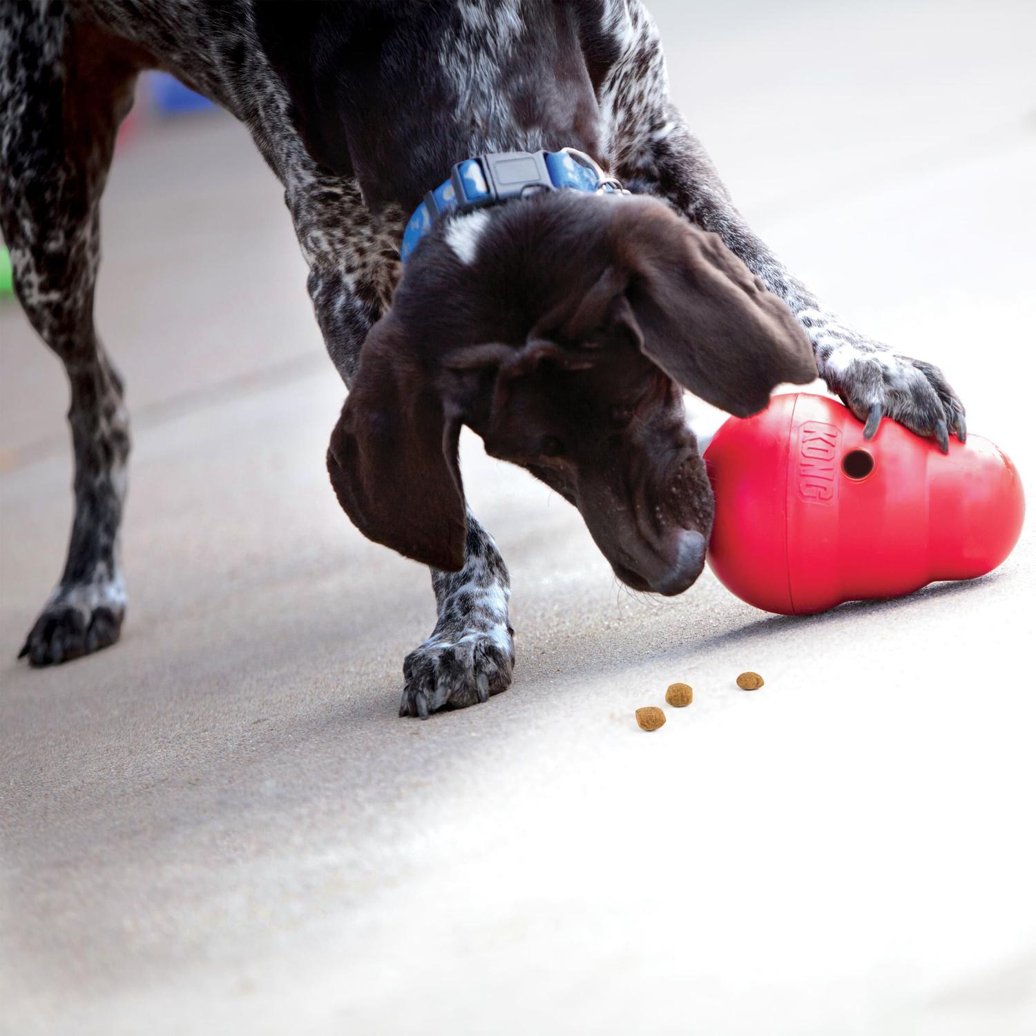 Kong Juguete para perro Wobbler Chico | G.Valkyria - imagen 3