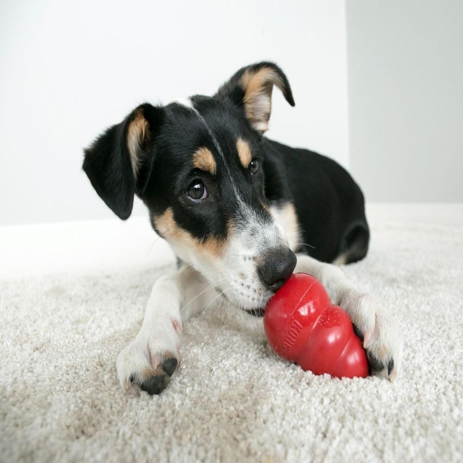 Juguete Para Perros Kong Clásico Grande | G.Valkyria - imagen 3