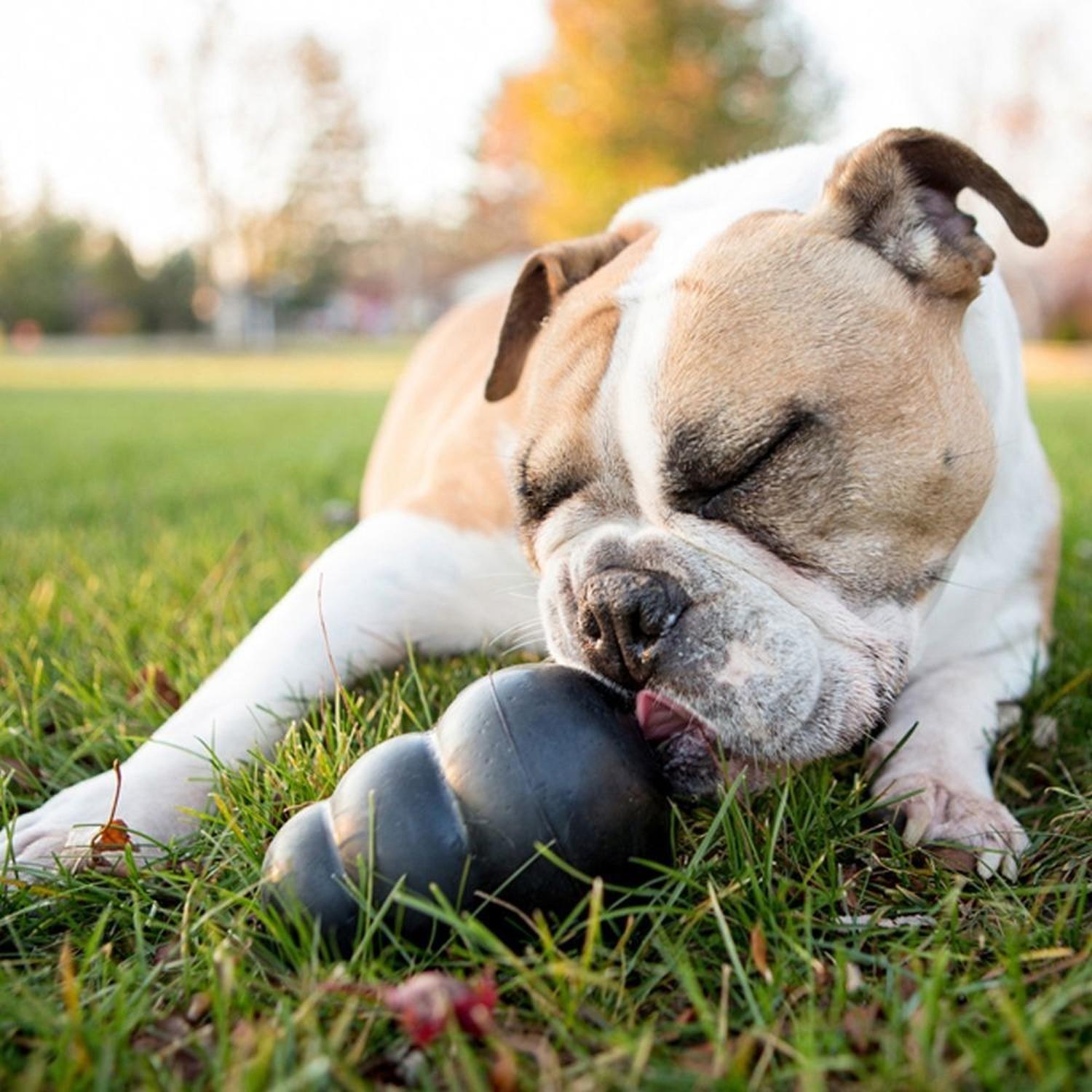 Juguete Para Perros Kong Extreme Grande | G.Valkyria - imagen 5