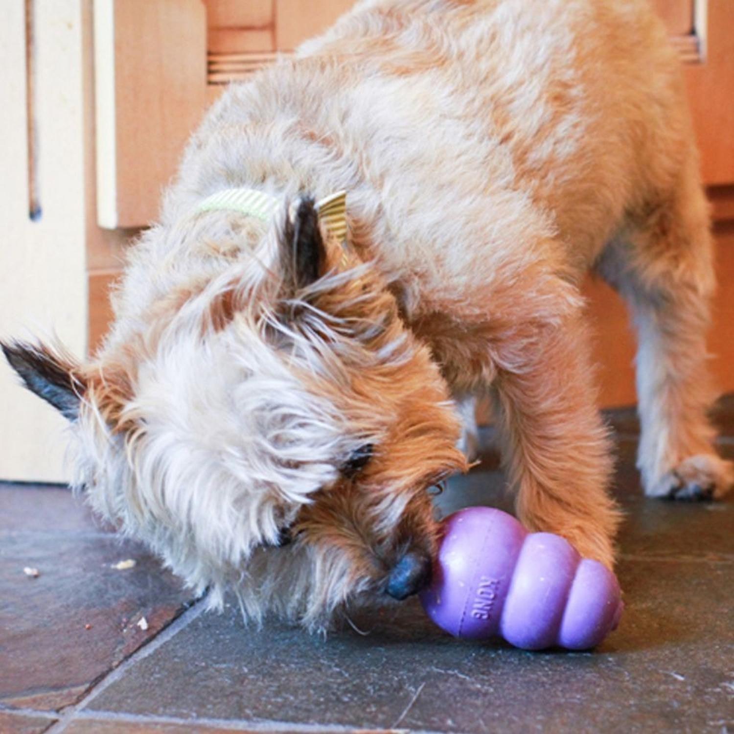 Juguete Para Perros Kong Senior Rellenable Chico | G.Valkyria - imagen 5