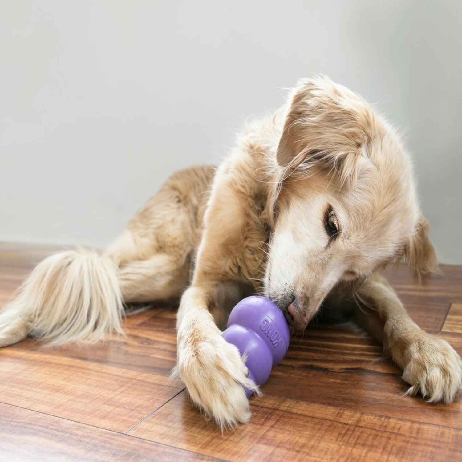 Juguete Para Perros Kong Senior Rellenable Mediano | G.Valkyria - imagen 7