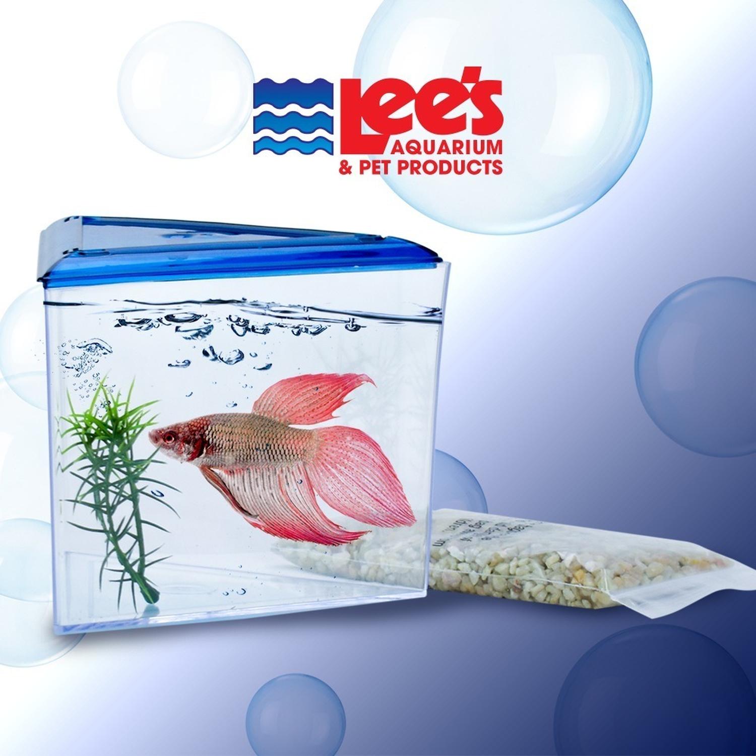 Betera Triangular Tapa Chica Para Peces Betta Transportadora de Lee's | G.Valkyria - imagen 3