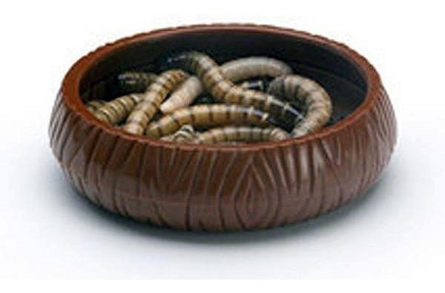 Lee's Plato Para Gusanos larvas insectos Ideal Para Reptiles | G.Valkyria - imagen 8