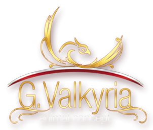 G.Valkyria