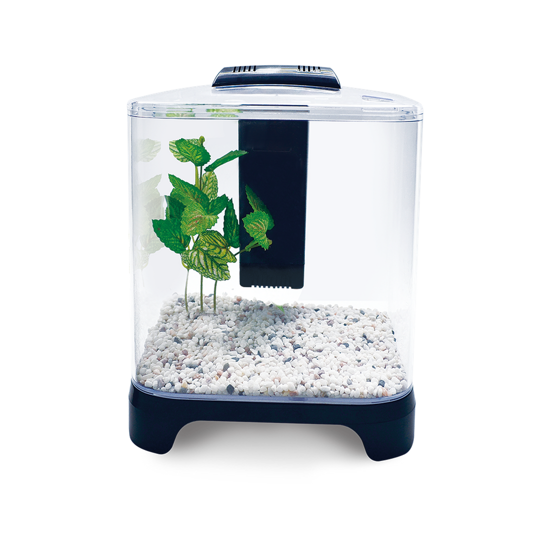 Lomas Acuario Mini de 6 lt, con filtro y lámpara Led betta | G.Valkyria - imagen 1