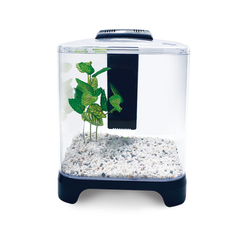 Lomas Acuario Mini de 6 lt, con filtro y lámpara Led betta | G.Valkyria - imagen 1