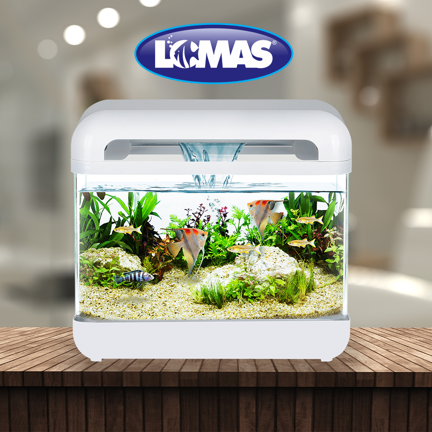 Lomas acuario nano blanco con filtro cascada y luz 15 litros | G.Valkyria - imagen 4