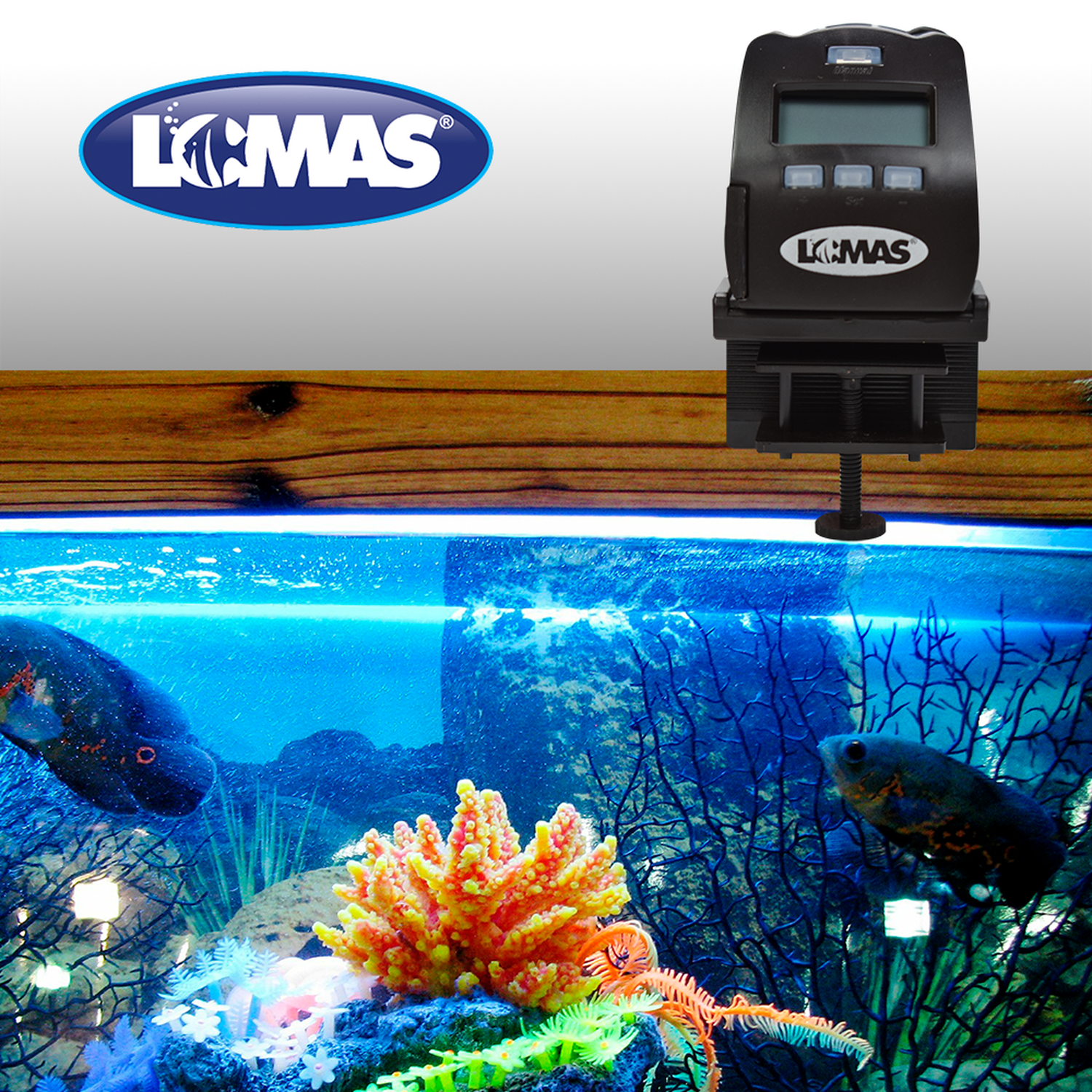 LOMAS alimentador automatico programable peces vacaciones | G.Valkyria - imagen 4