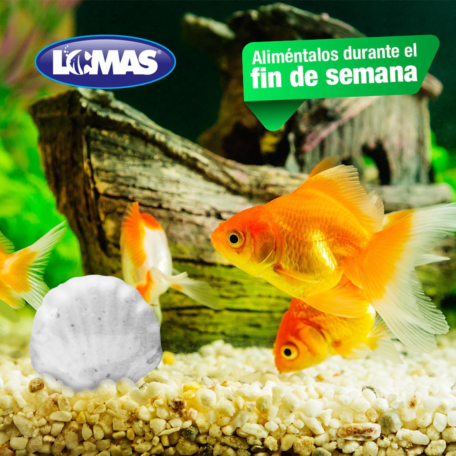 LOMAS Alimento Fin De Semana Para Peces o acuarios 3 días | G.Valkyria - imagen 3