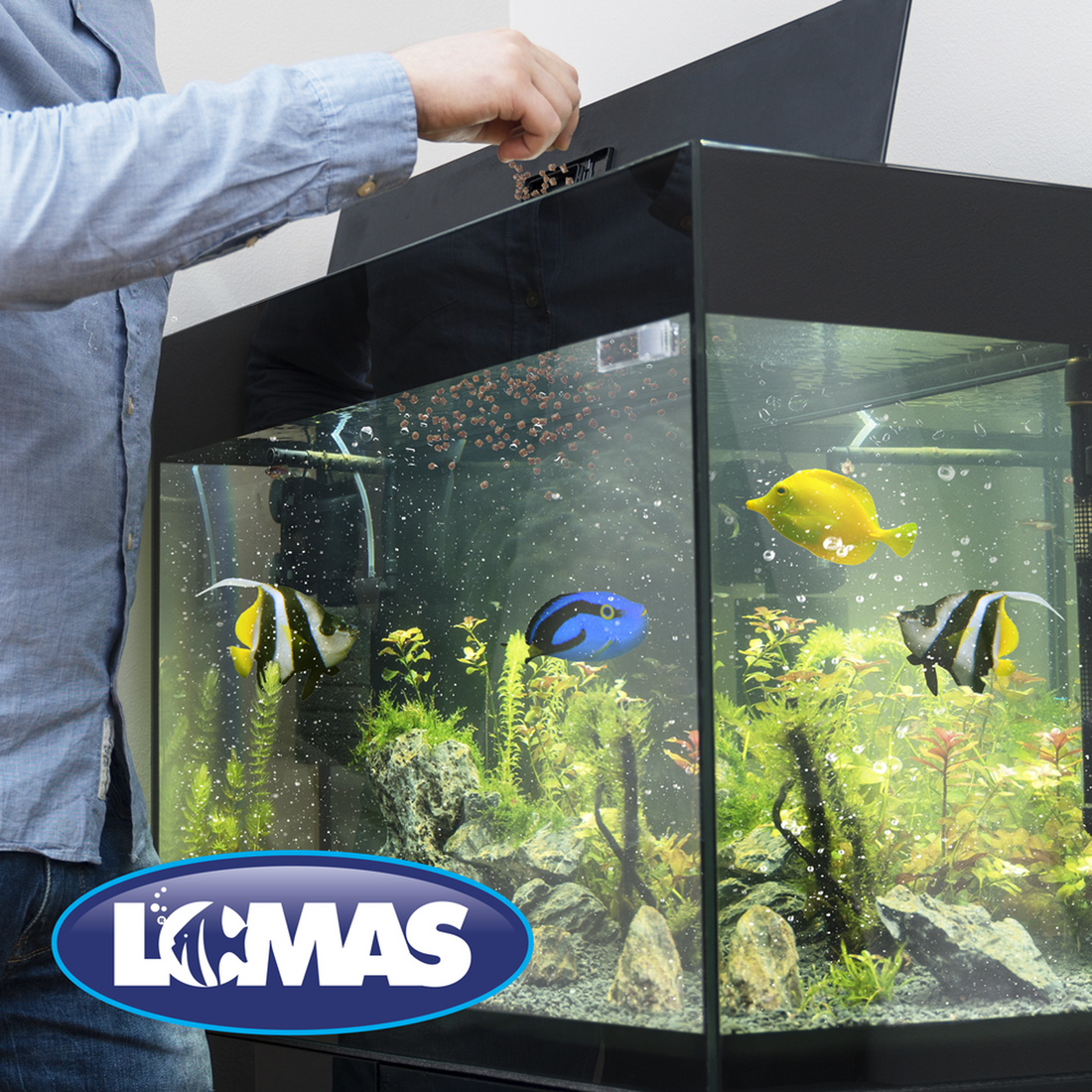 Alimento peces marinos Lomas ajo de 140g aumenta inmunidad | G.Valkyria - imagen 1