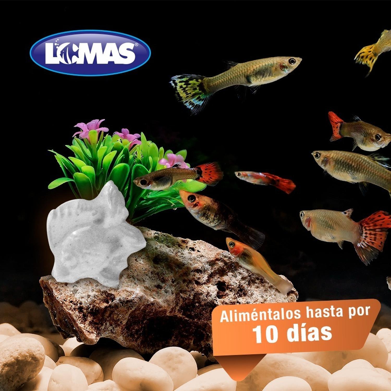 LOMAS Alimento Vacaciones Para Peces De Ornato 10 días | G.Valkyria - imagen 4