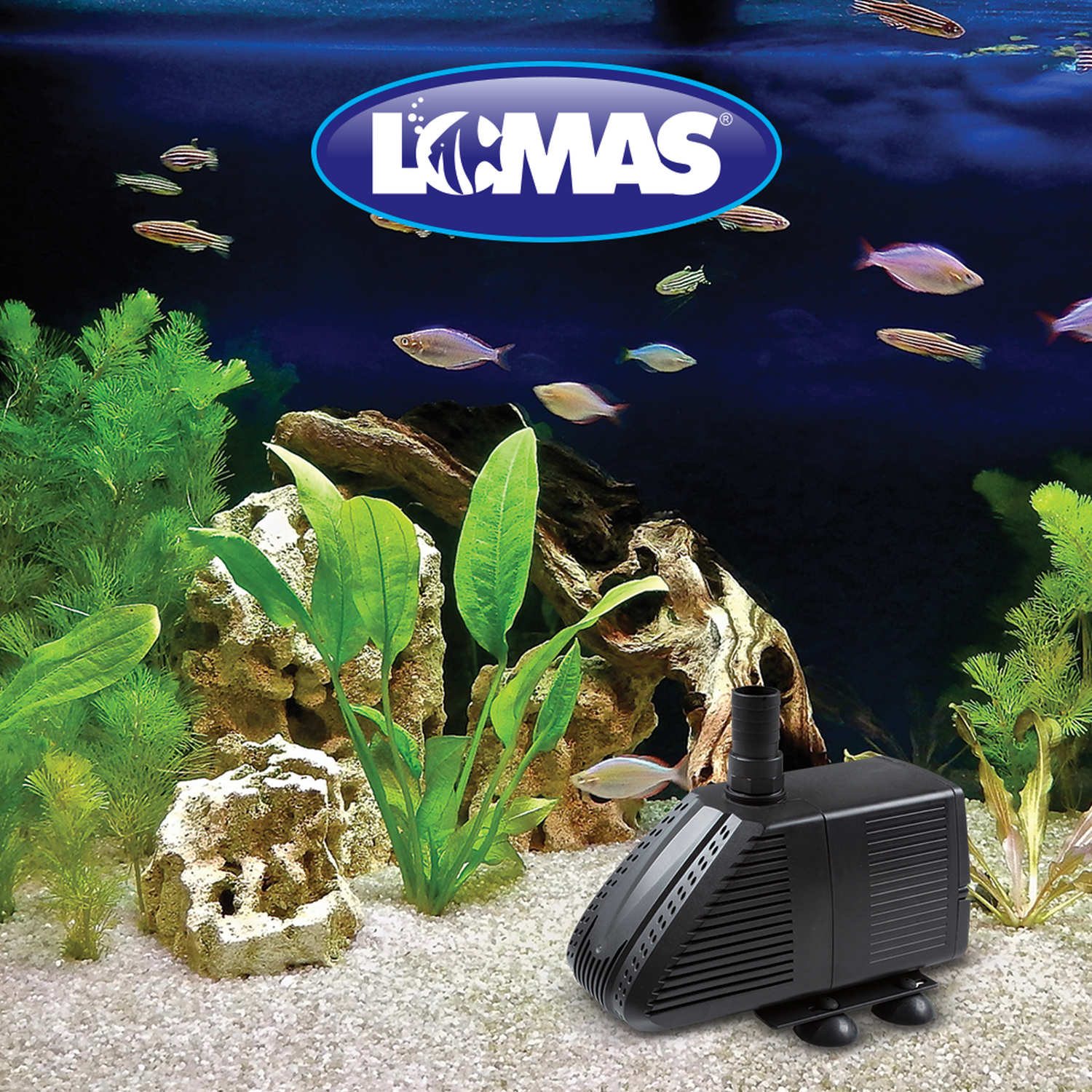 Bomba sumergible fuente estanque AquaJet 2050 para 410-638L de Lomas | G.Valkyria - imagen 3
