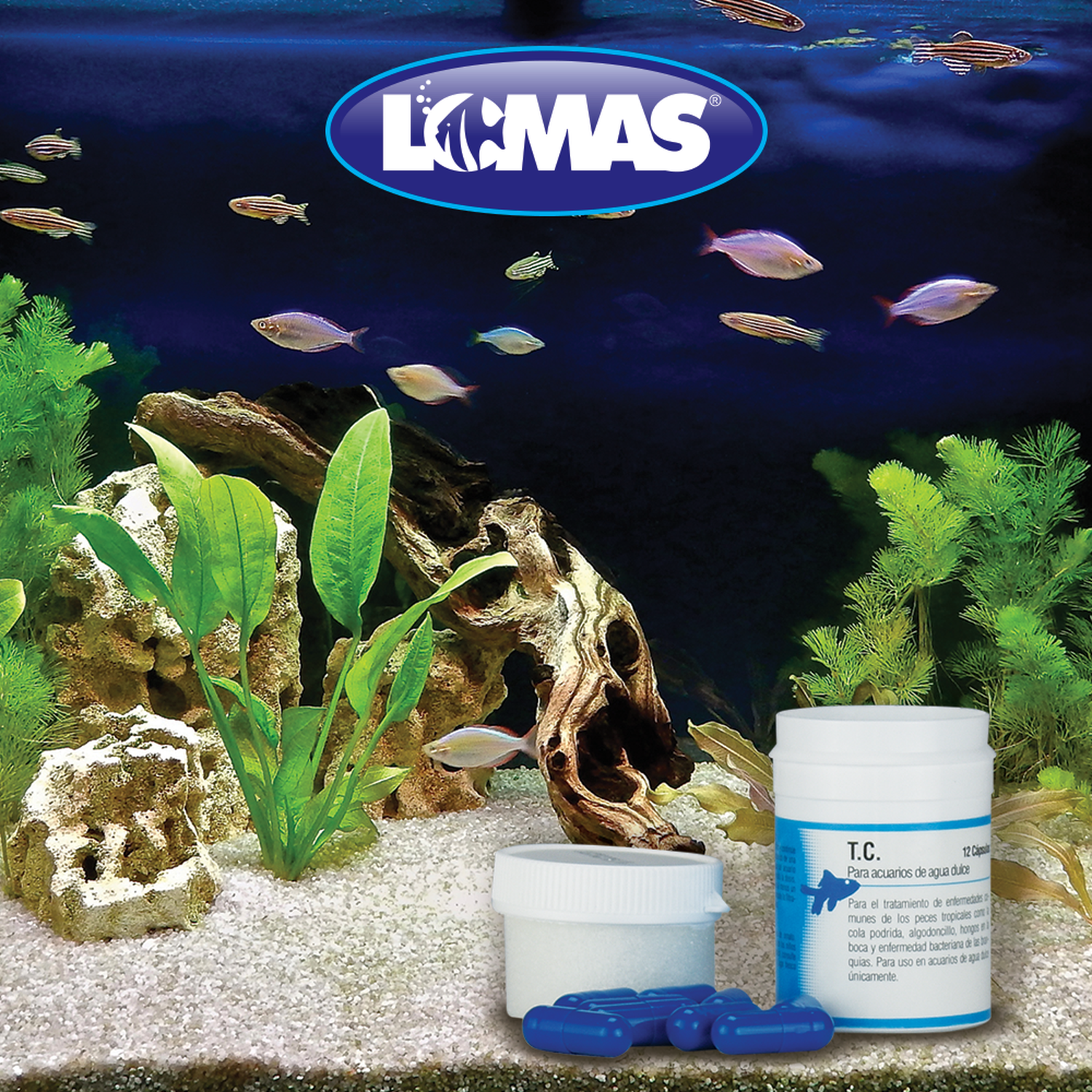 Capsulas para peces - Cola podrida - Algodoncillo - Hongos en la boca de Lomas | G.Valkyria - imagen 3