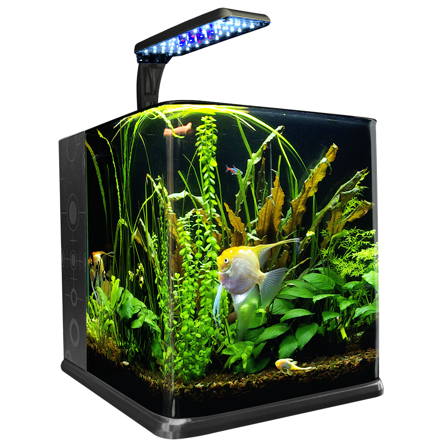 Pecera Equipada 18 Litros De Vidrio Nano Acuario C/ Luz Led de Lomas | G.Valkyria - imagen 4