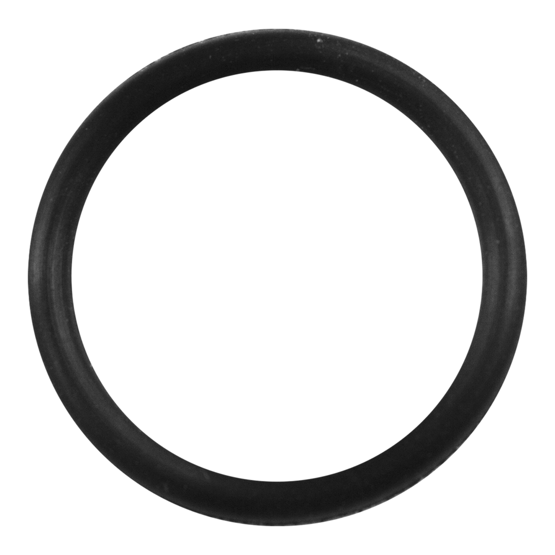 Refacción Empaque Conector Para Filtros Canister Aquajet de Lomas | G.Valkyria