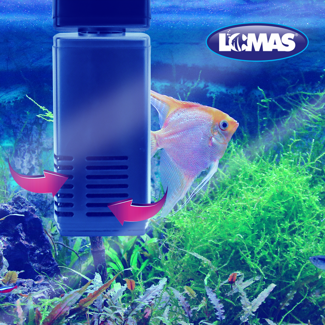 Repuesto de cartucho para filtro rápido AquaJet 10 de Lomas | G.Valkyria - imagen 1