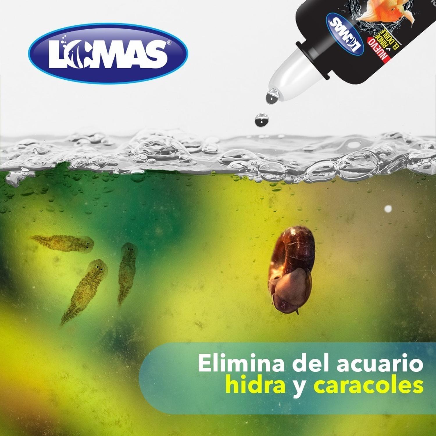 Sulfato De Cobre 30 Ml, Velvet Hidra Y Caracoles pecera de Lomas | G.Valkyria - imagen 2
