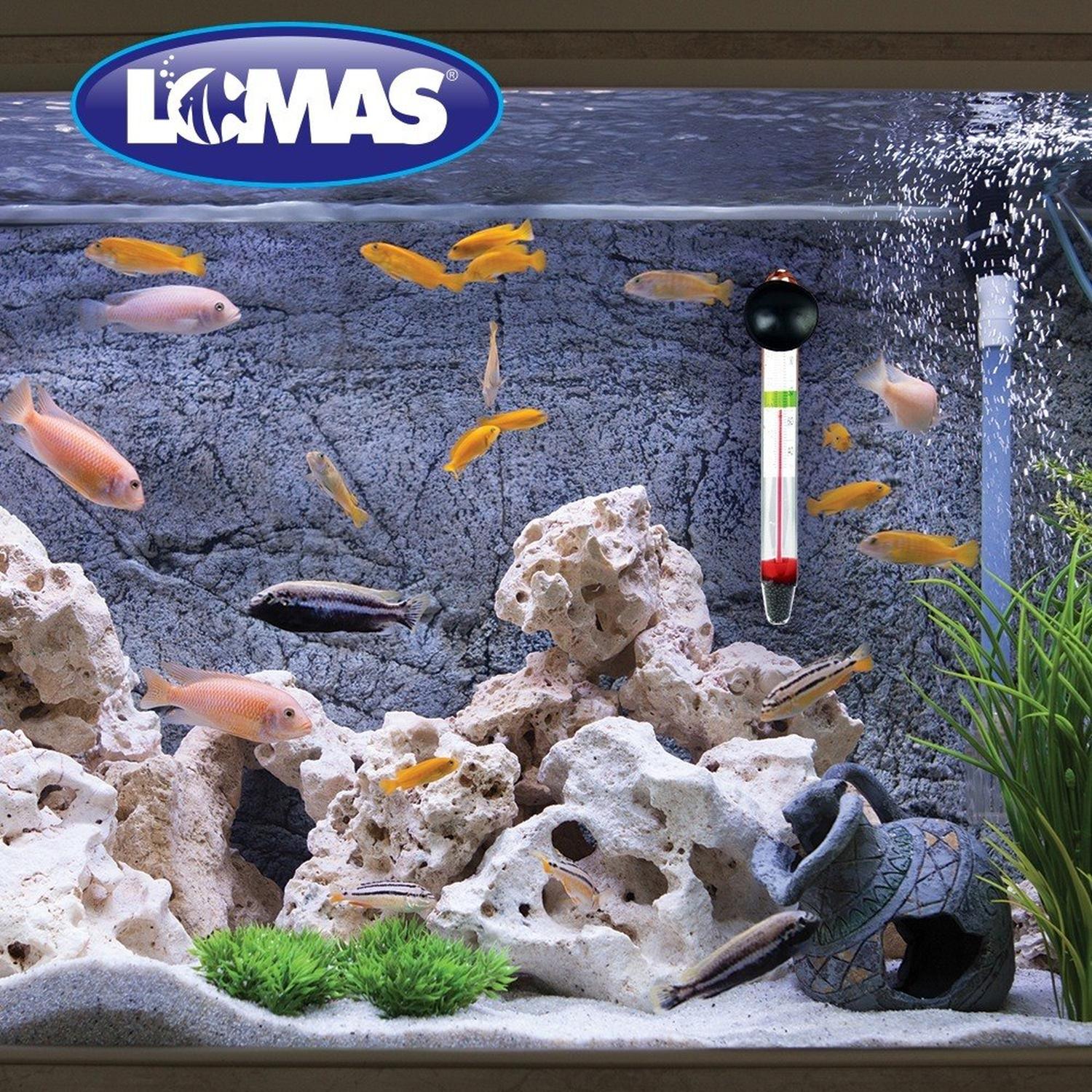LOMAS Termometro Flotante Con Chupon Fp Para Peceras | G.Valkyria - imagen 3
