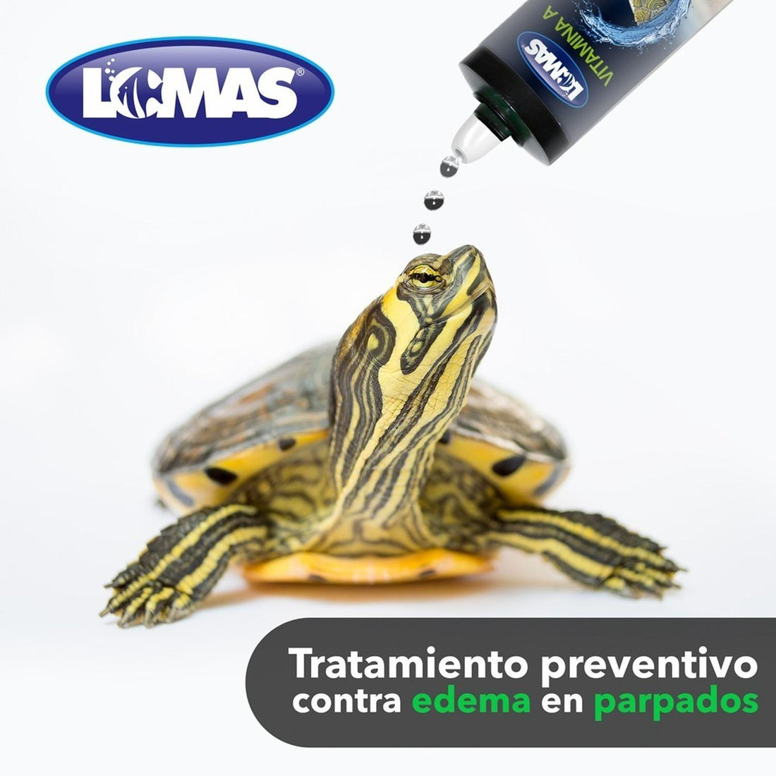 LOMAS Tratamiento Vitamina A Para Tortugas De 120 Ml/ 4 Oz. | G.Valkyria - imagen 1