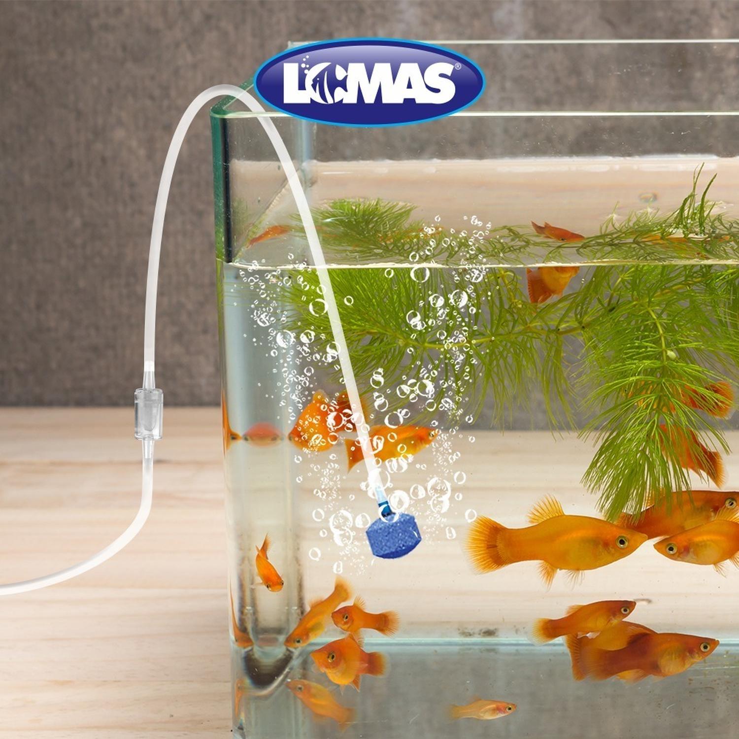 Valvula Check - Bolsa De 10 Pzas Antiretorno Para Acuario de Lomas | G.Valkyria - imagen 3