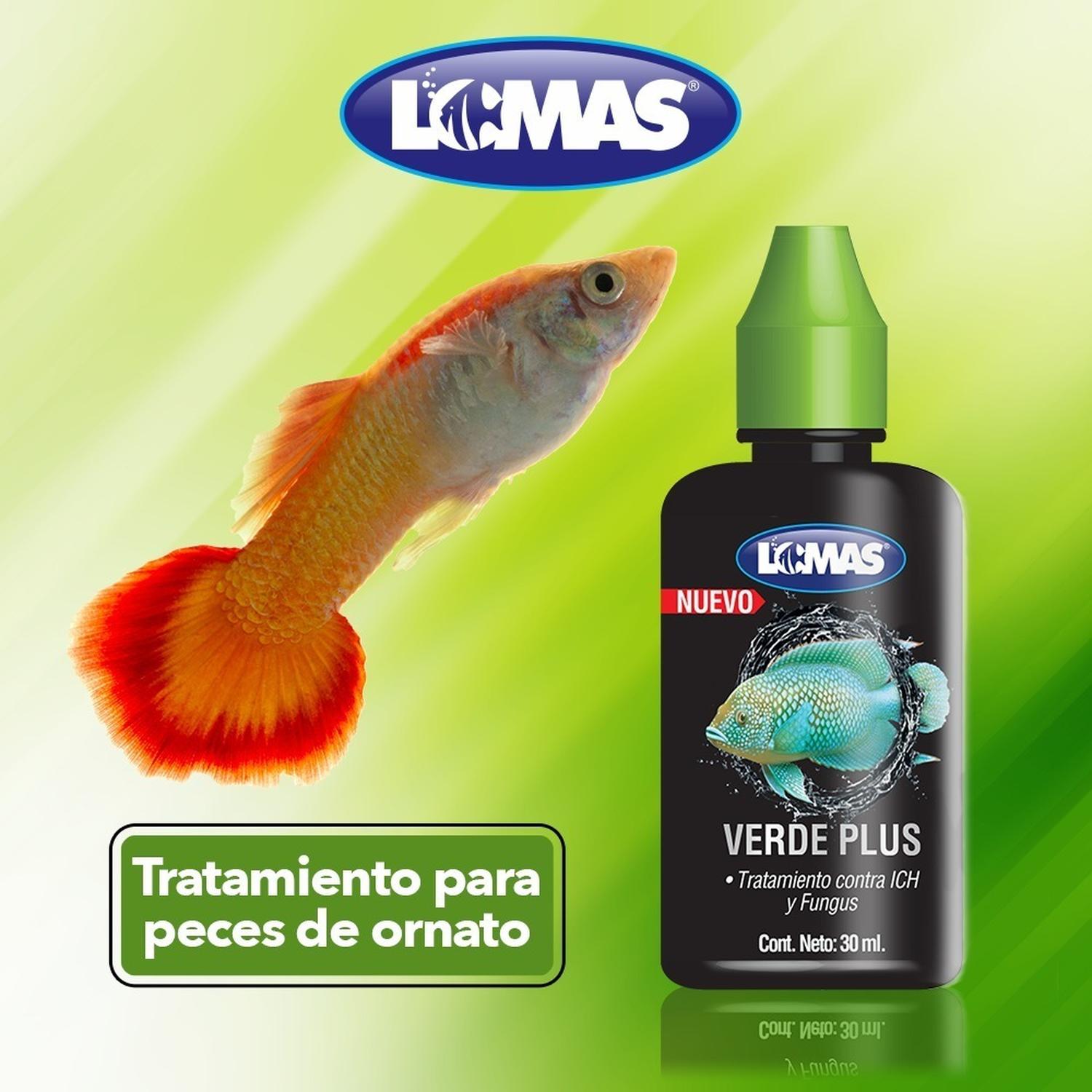 Verde Plus 30 Ml. Contra Ich Y Fungus Y hongos peceras de Lomas | G.Valkyria - imagen 3