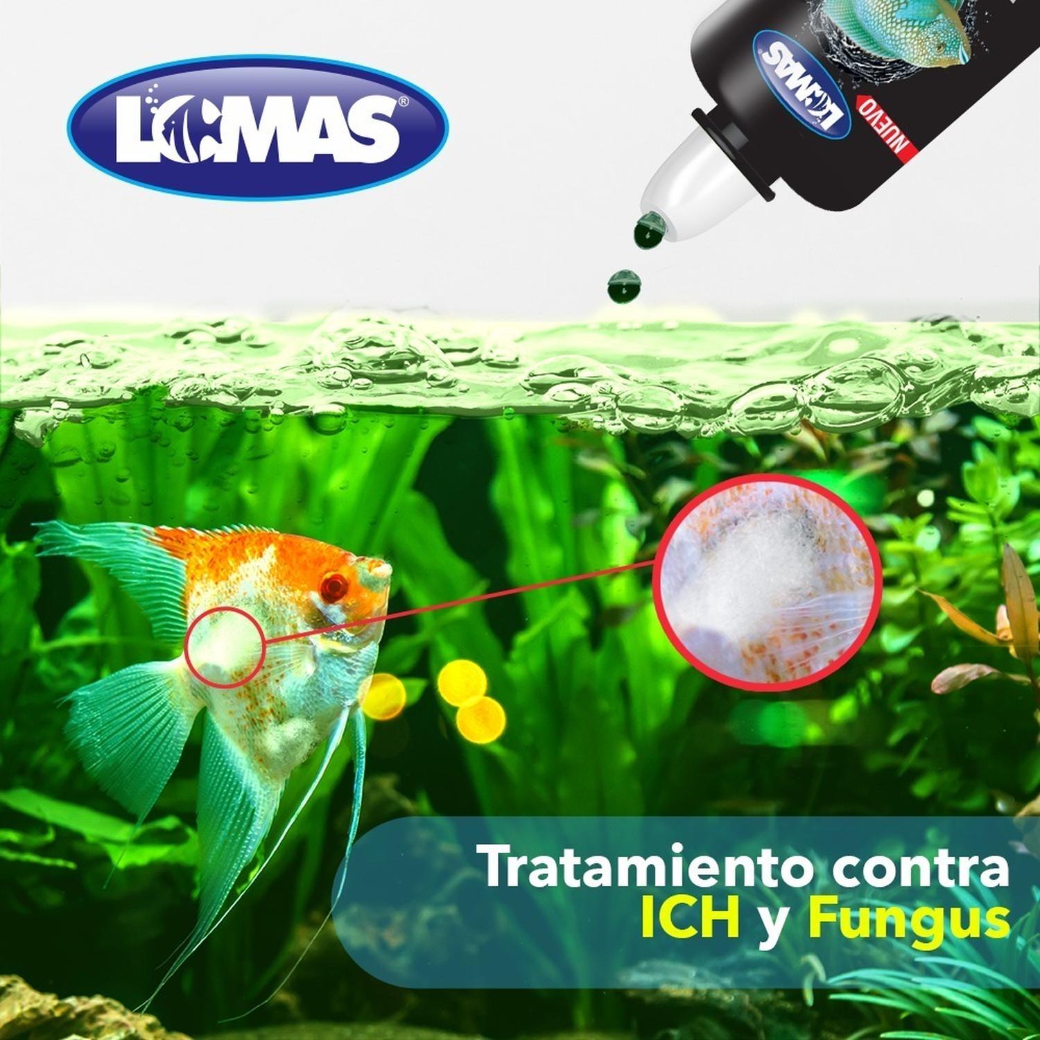 Verde Plus 30 Ml. Contra Ich Y Fungus Y hongos peceras de Lomas | G.Valkyria - imagen 4