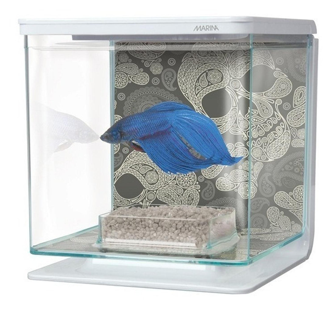 Marina Pecera Para Bettas Beta Kit Craneo Equipada 2 litros | G.Valkyria - imagen 1