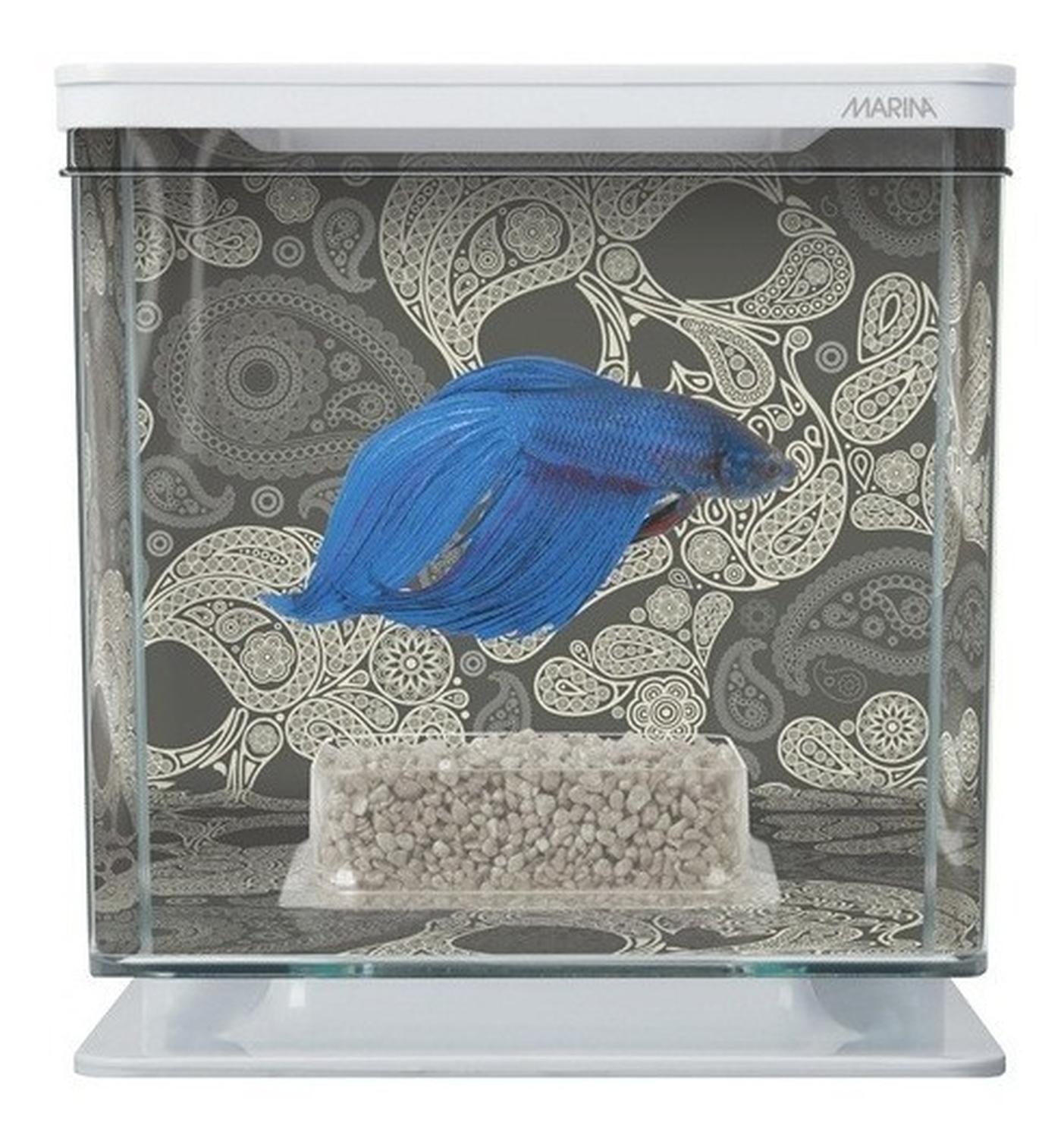 Marina Pecera Para Bettas Beta Kit Craneo Equipada 2 litros | G.Valkyria - imagen 2