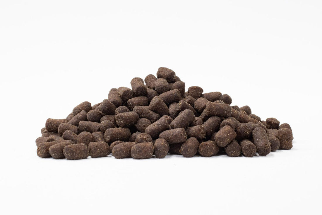 Mazuri Alimento hurón cualquier etapa de vida 1kg | G.Valkyria - imagen 1