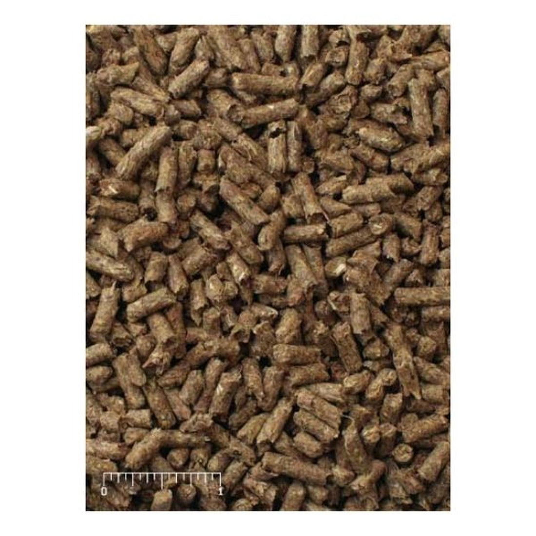 Mazuri Alimento para conejo toda etapa de vida 1.3kg | G.Valkyria - imagen 1