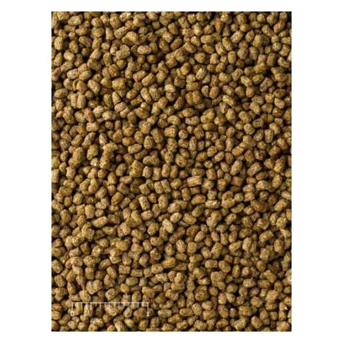 Mazuri Alimento para Iguana Diet 450g alto en fibra | G.Valkyria - imagen 1