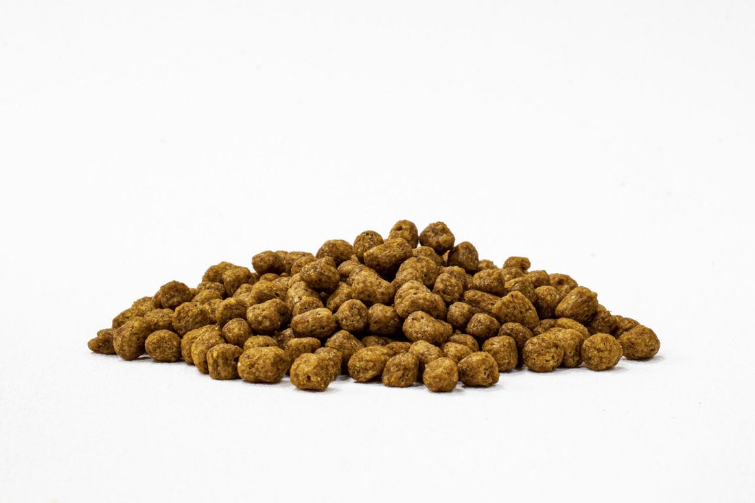 Mazuri Alimento tortuga de agua cualquier etapa 450g | G.Valkyria - imagen 1