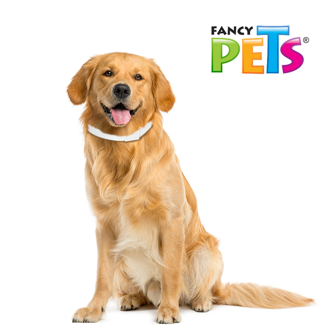 Medical Solutions Collar Antipulgas Para perro grande | G.Valkyria - imagen 1